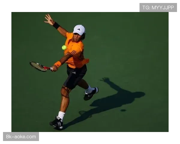 40岁的西班牙老将沃达斯科：巴塞罗那公开赛将是我职业生涯的最后一舞